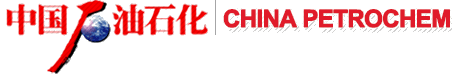 【活法】社区书记“隋梅花” - 南宫国际网