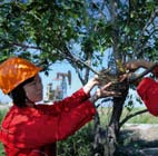 南宫国际(中国区)-官方网站