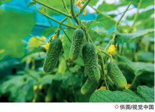 南宫国际(中国区)-官方网站