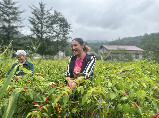 南宫国际(中国区)-官方网站