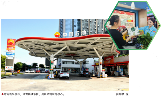 南宫国际(中国区)-官方网站