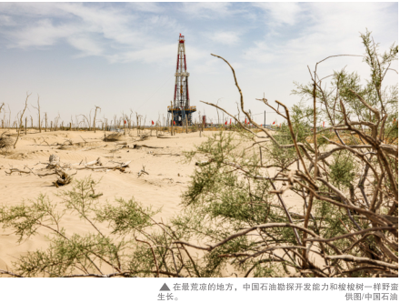 南宫国际(中国区)-官方网站