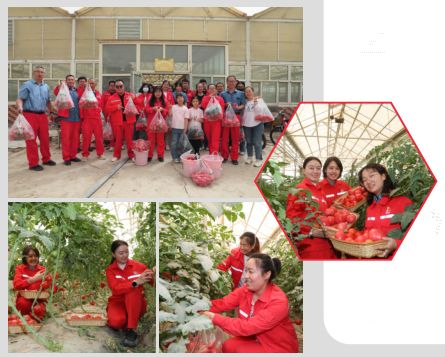 南宫国际(中国区)-官方网站