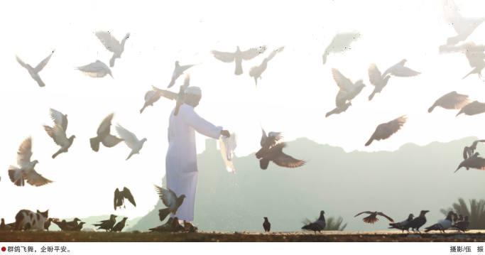 南宫国际(中国区)-官方网站