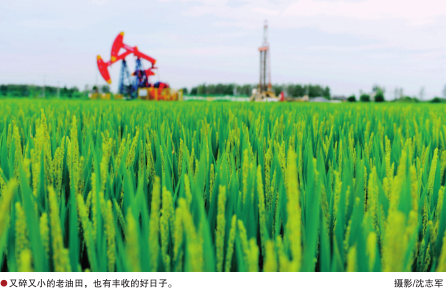 南宫国际(中国区)-官方网站