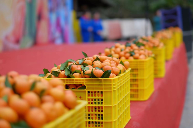 南宫国际(中国区)-官方网站