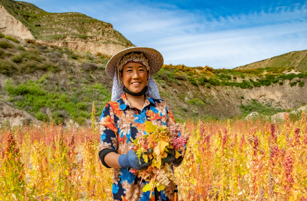 南宫国际(中国区)-官方网站