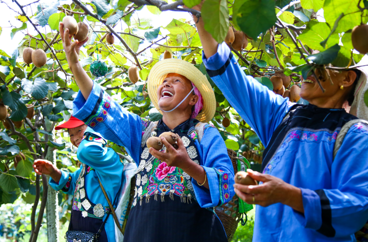 南宫国际(中国区)-官方网站