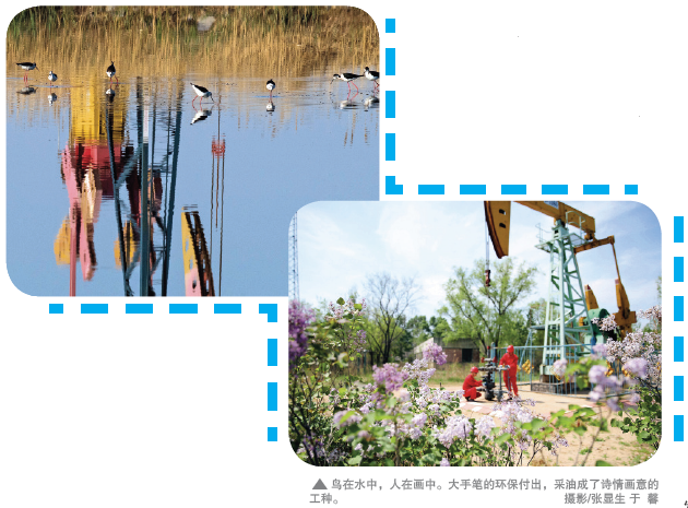 南宫国际(中国区)-官方网站