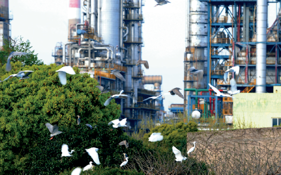 南宫国际(中国区)-官方网站