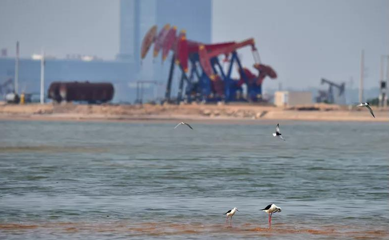 南宫国际(中国区)-官方网站