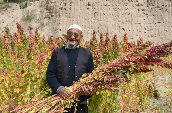 南宫国际(中国区)-官方网站