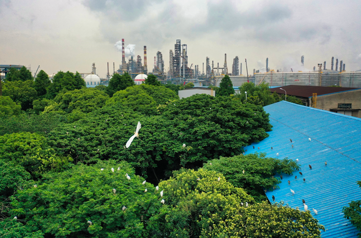 南宫国际(中国区)-官方网站