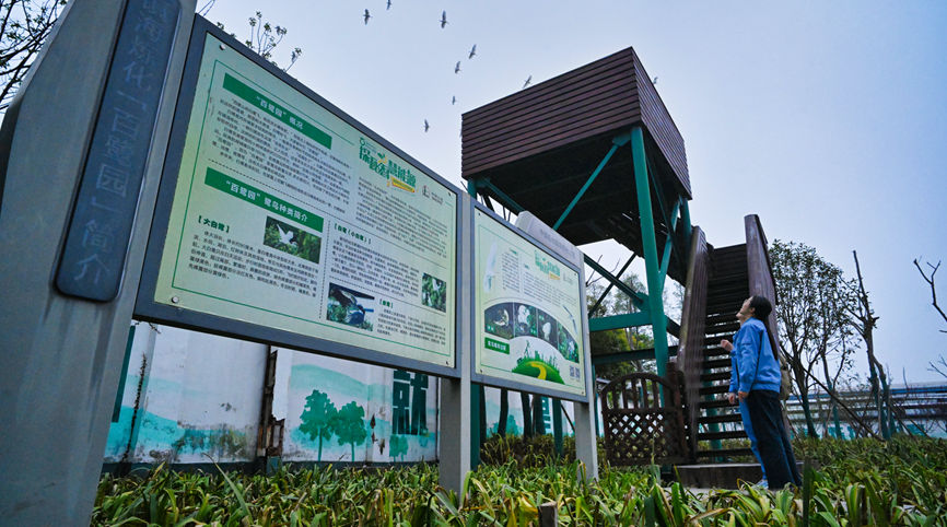 南宫国际(中国区)-官方网站