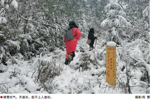 南宫国际(中国区)-官方网站