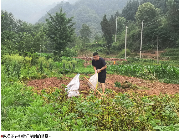 南宫国际(中国区)-官方网站