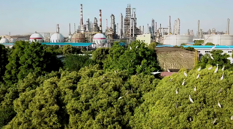 南宫国际(中国区)-官方网站