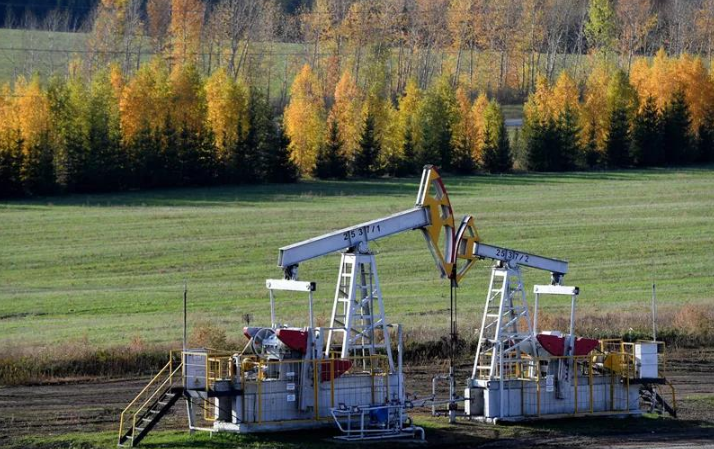 南宫国际(中国区)-官方网站