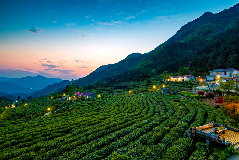 南宫国际(中国区)-官方网站