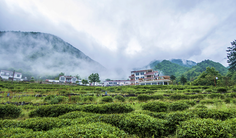 南宫国际(中国区)-官方网站