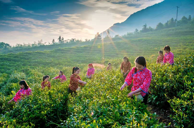 南宫国际(中国区)-官方网站