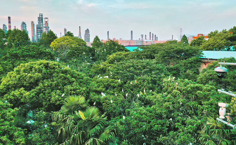 南宫国际(中国区)-官方网站