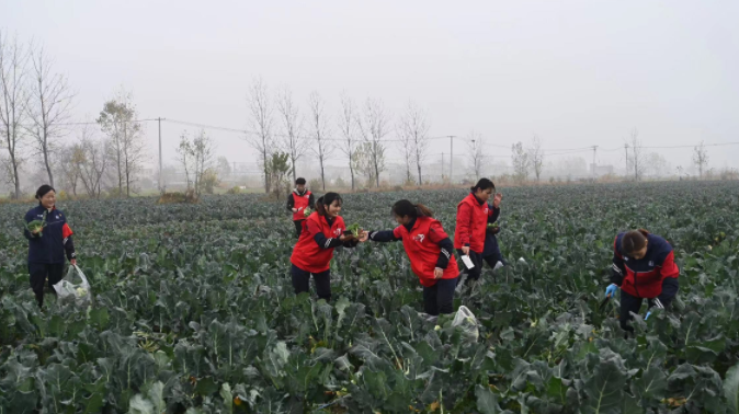 南宫国际(中国区)-官方网站