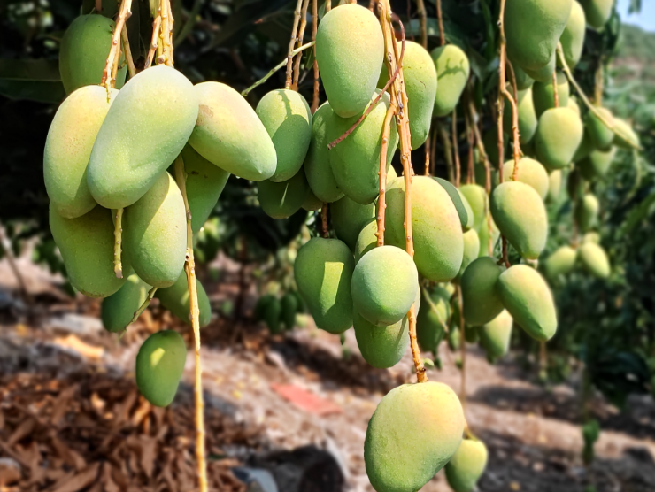 南宫国际(中国区)-官方网站