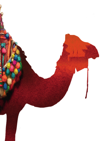 南宫国际(中国区)-官方网站