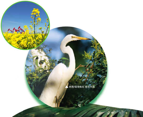 南宫国际(中国区)-官方网站