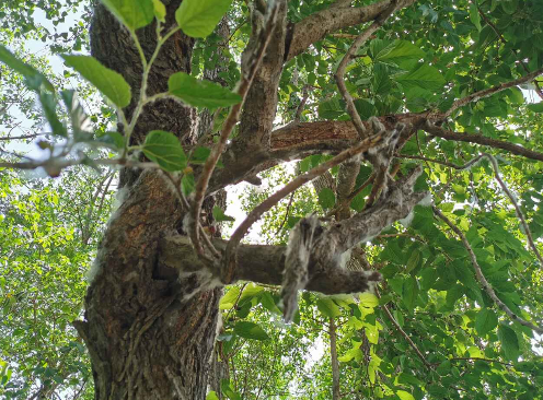 南宫国际(中国区)-官方网站