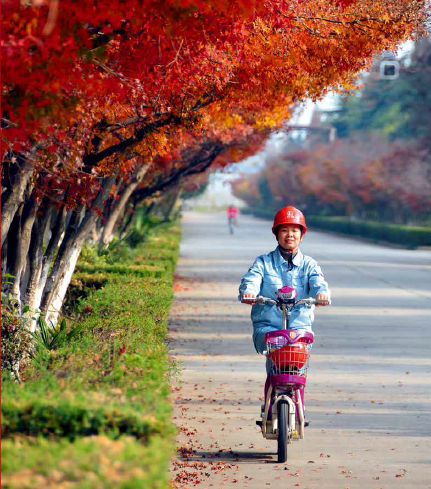 南宫国际(中国区)-官方网站