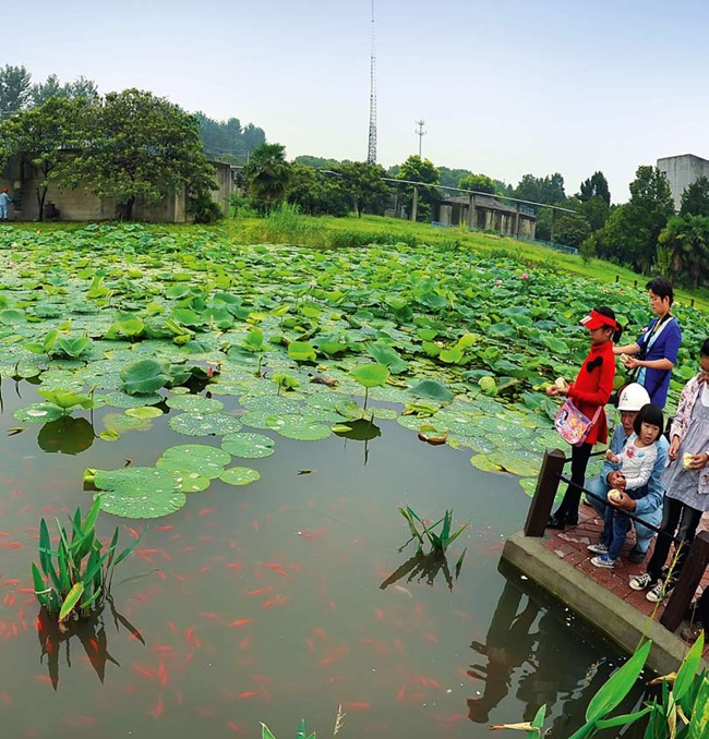 南宫国际(中国区)-官方网站