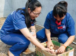 南宫国际(中国区)-官方网站