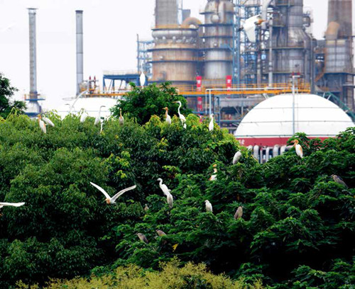 南宫国际(中国区)-官方网站