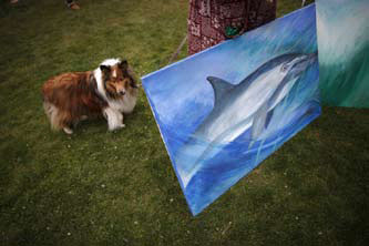 南宫国际(中国区)-官方网站