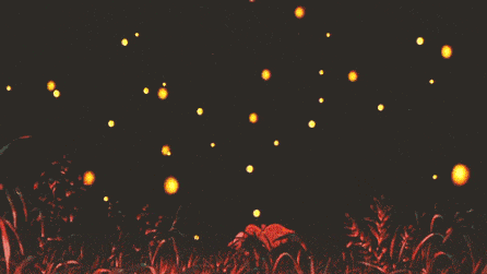 南宫国际(中国区)-官方网站