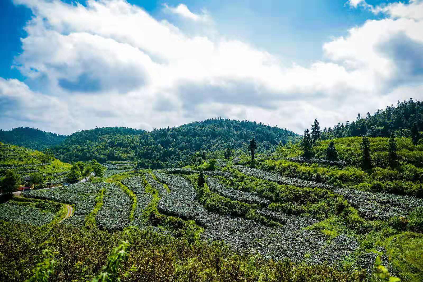 南宫国际(中国区)-官方网站