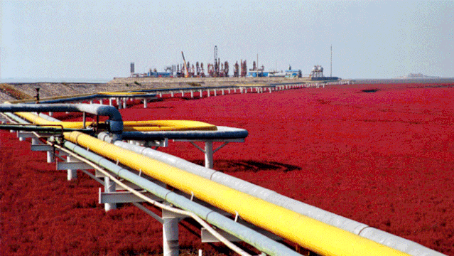 南宫国际(中国区)-官方网站