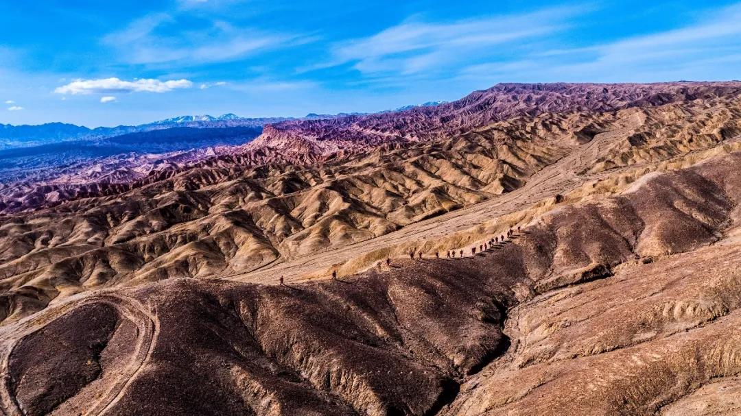 南宫国际(中国区)-官方网站