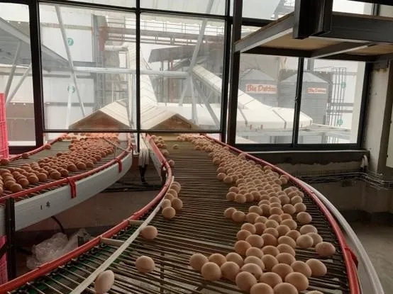 南宫国际(中国区)-官方网站