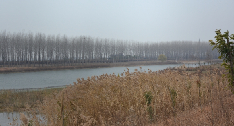 南宫国际(中国区)-官方网站